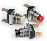 Pushbutton Switches